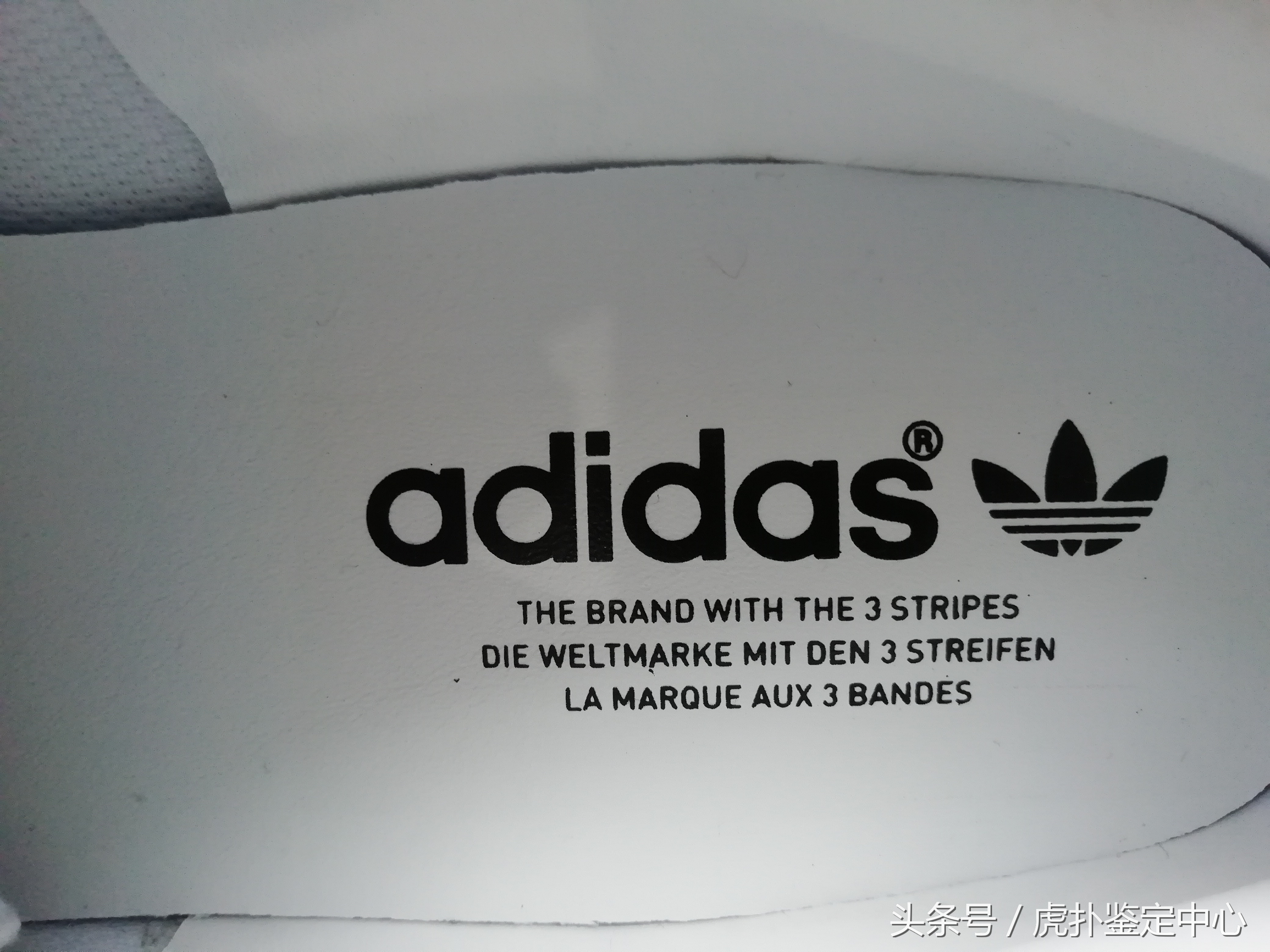 虎扑球鞋鉴定,虎扑鉴定鞋子多少钱