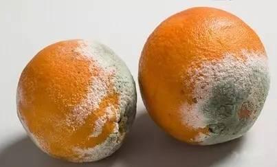 水果变质霉菌怎么消灭,怎么杀死水果中的霉菌