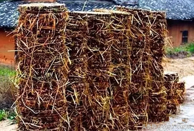 探访赣南传统手工榨‘’木梓油‘’（茶油）的工艺流程