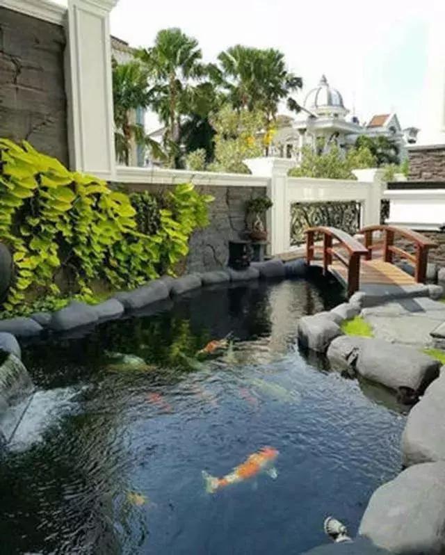 水至清则无鱼,水至清则无鱼人至察则无徒的意思