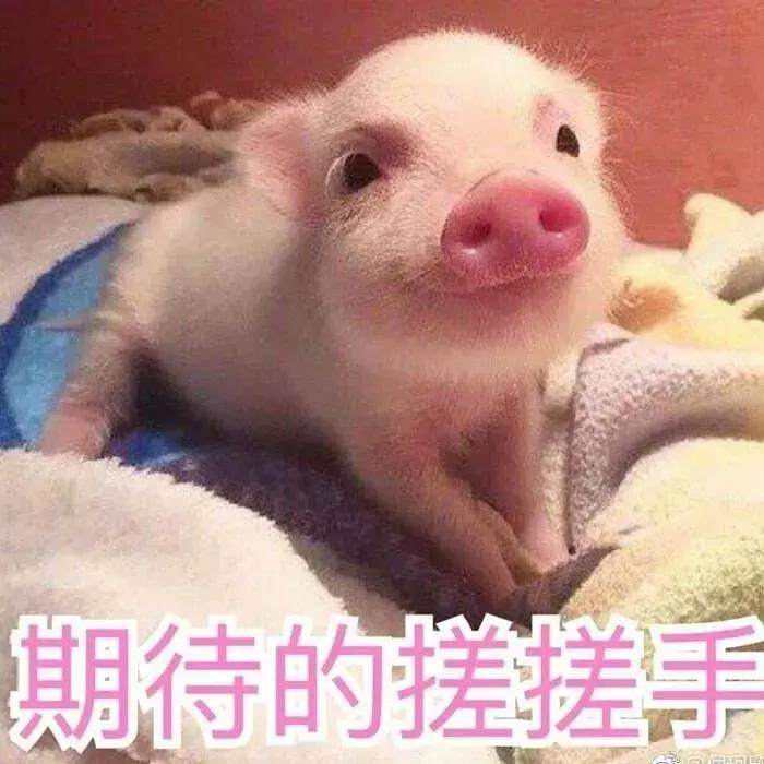 不用等香港打折季也能低至1折！12家老司机才知道的品牌折扣店！