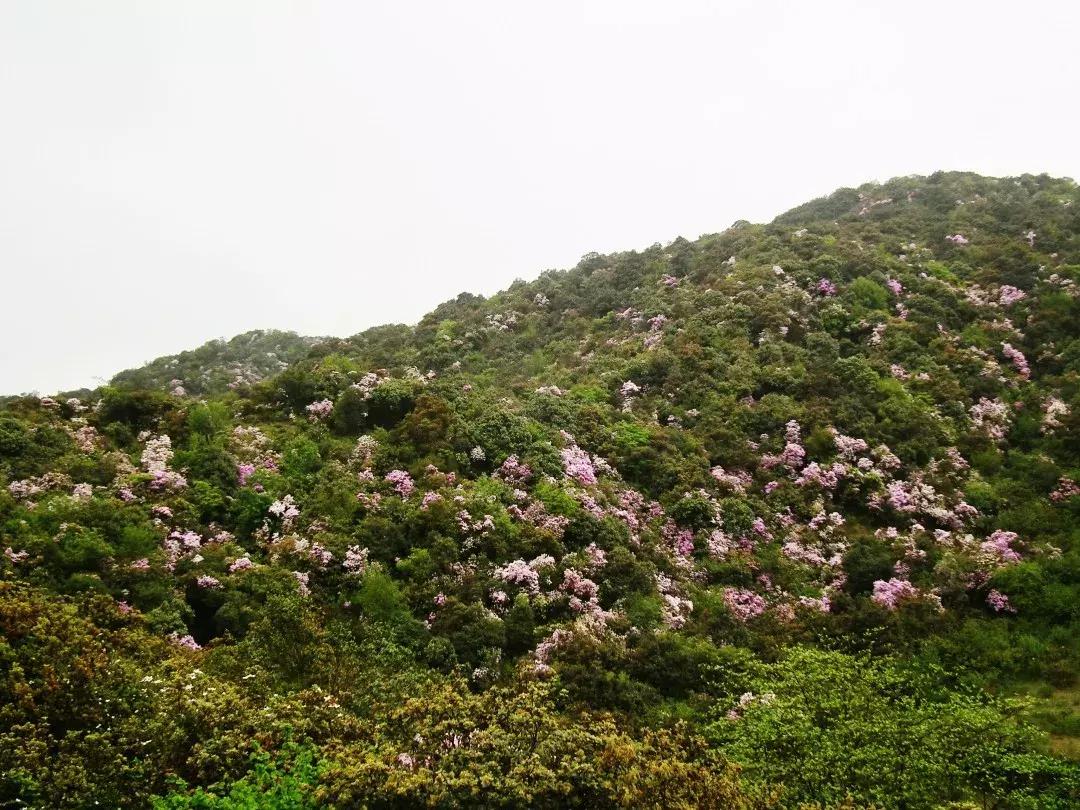 乌蒙深处,宣威芙蓉寨全景视频
