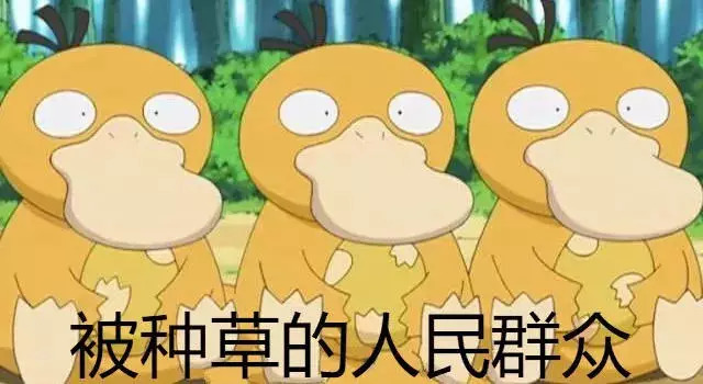 万能的芦荟胶你用过吗,万能的芦荟胶你用对了吗