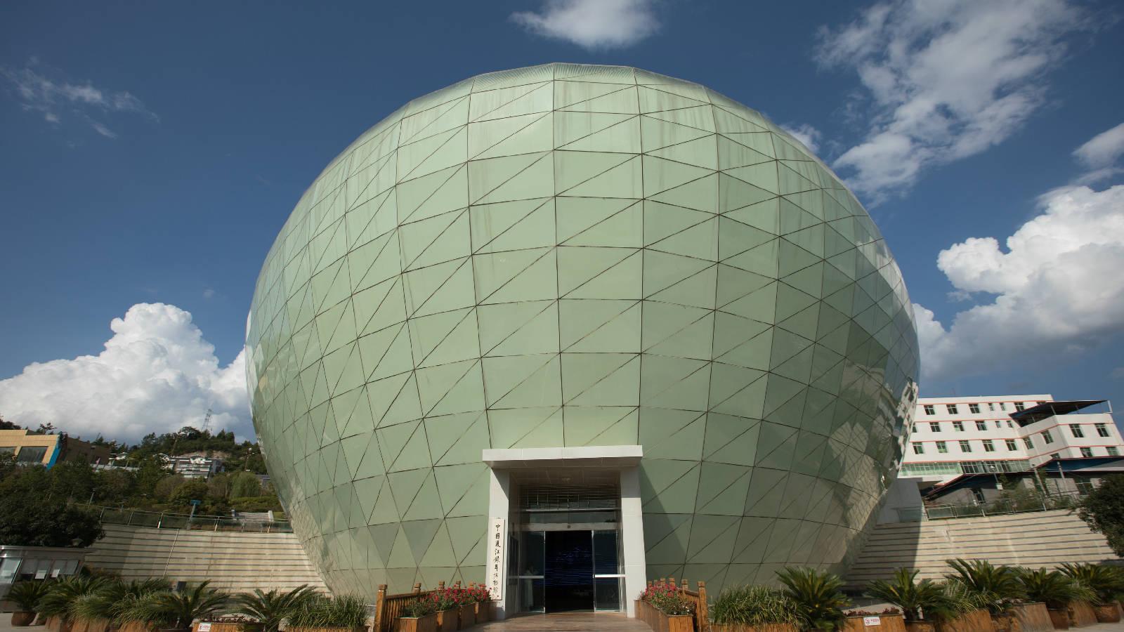 热点解读乡村振兴,通江乡村振兴