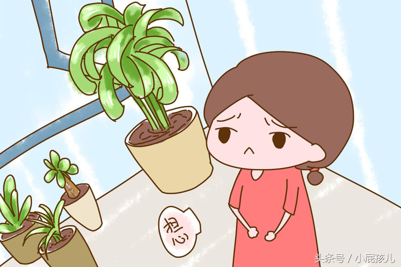 新房装修孕妇多久住合适,新房装修好有孕妇多久能住