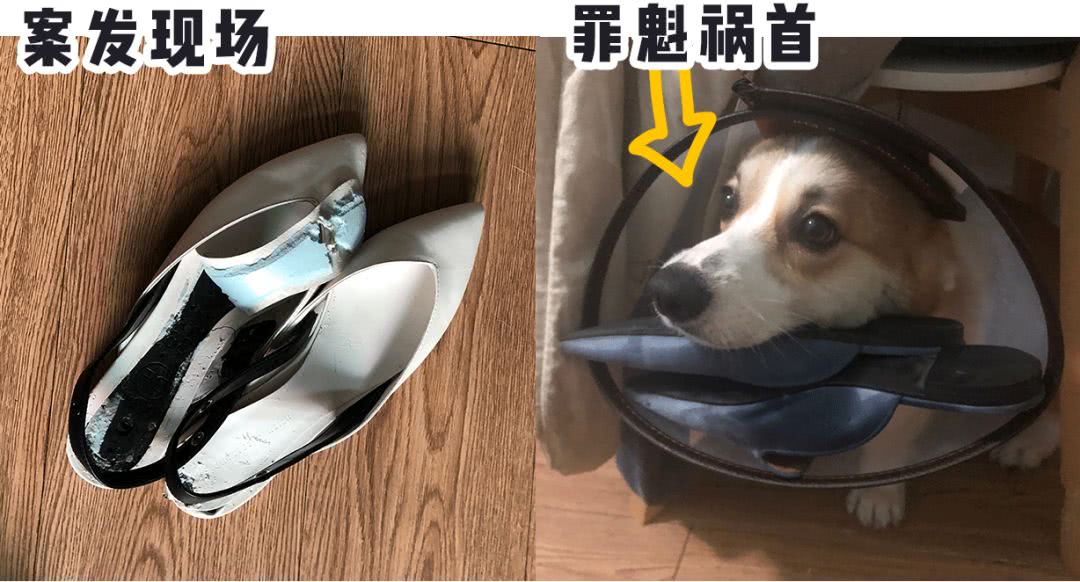 我保证！看完我司员工的鞋，你们再也不会嘲笑我了