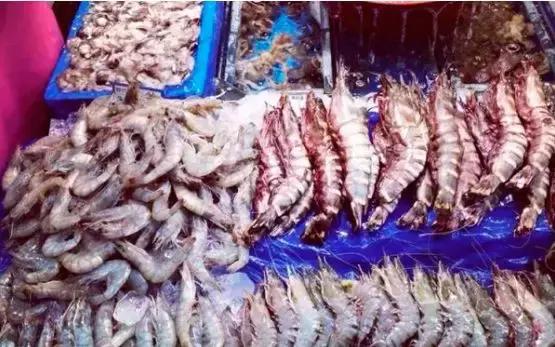 开海了有什么海鲜推荐买的,开海了海鲜去哪里买