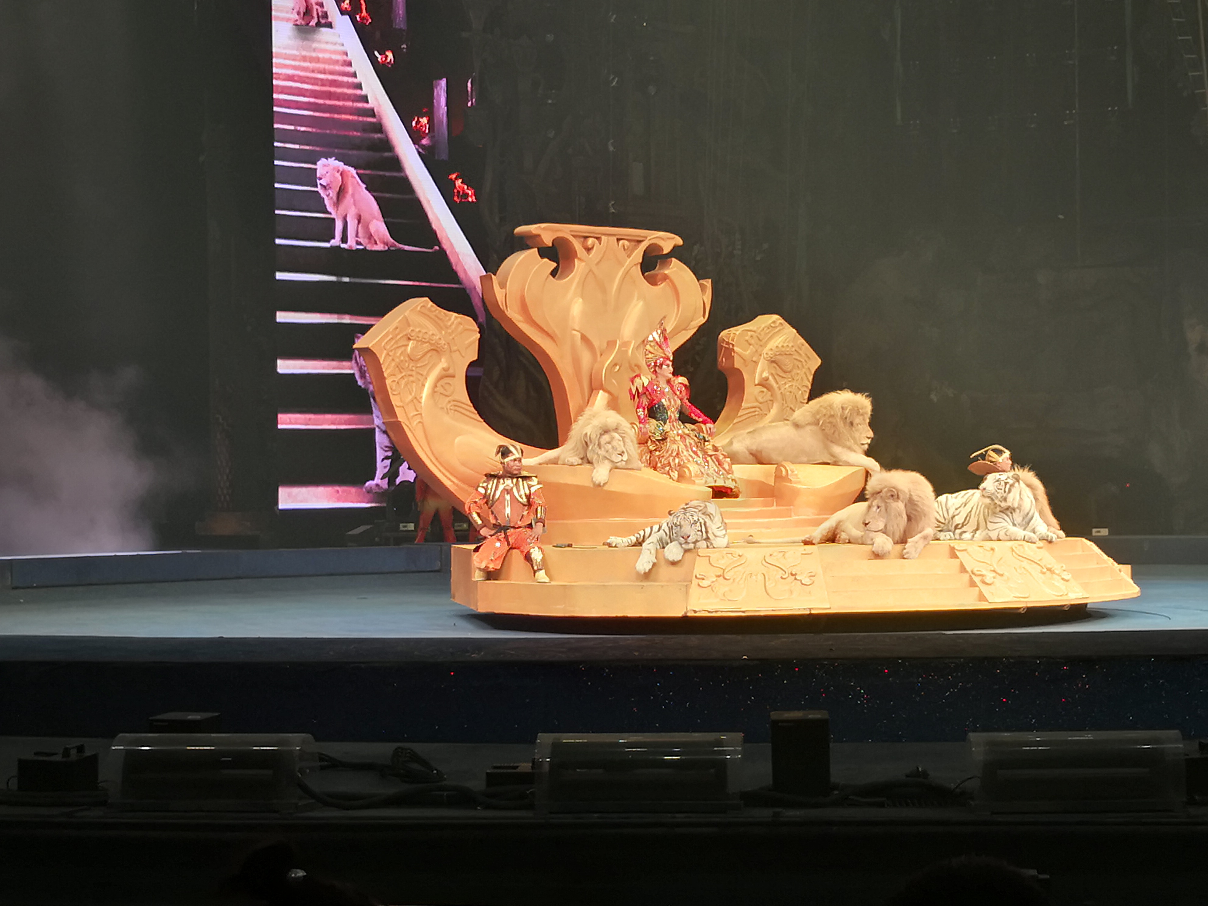 去完广州长隆还去哪比较好,广州有必要去长隆吗