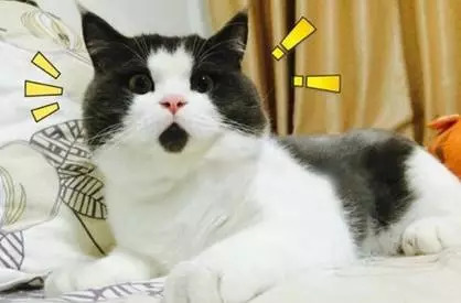 国产祛疤膏真的有效吗,日本的祛疤膏效果怎样