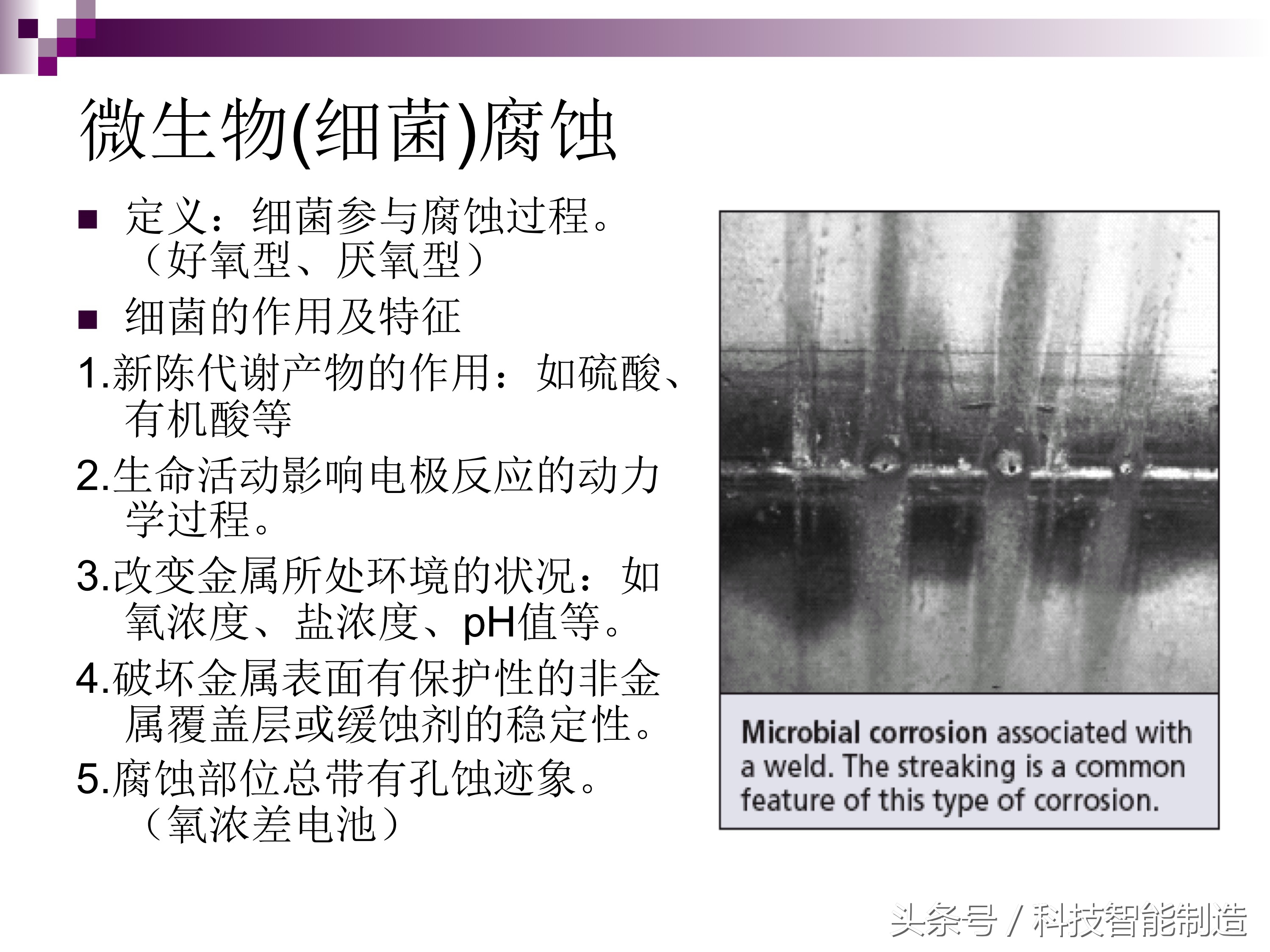 不锈钢腐蚀的主要原因是什么元素,不锈钢腐蚀真实案例