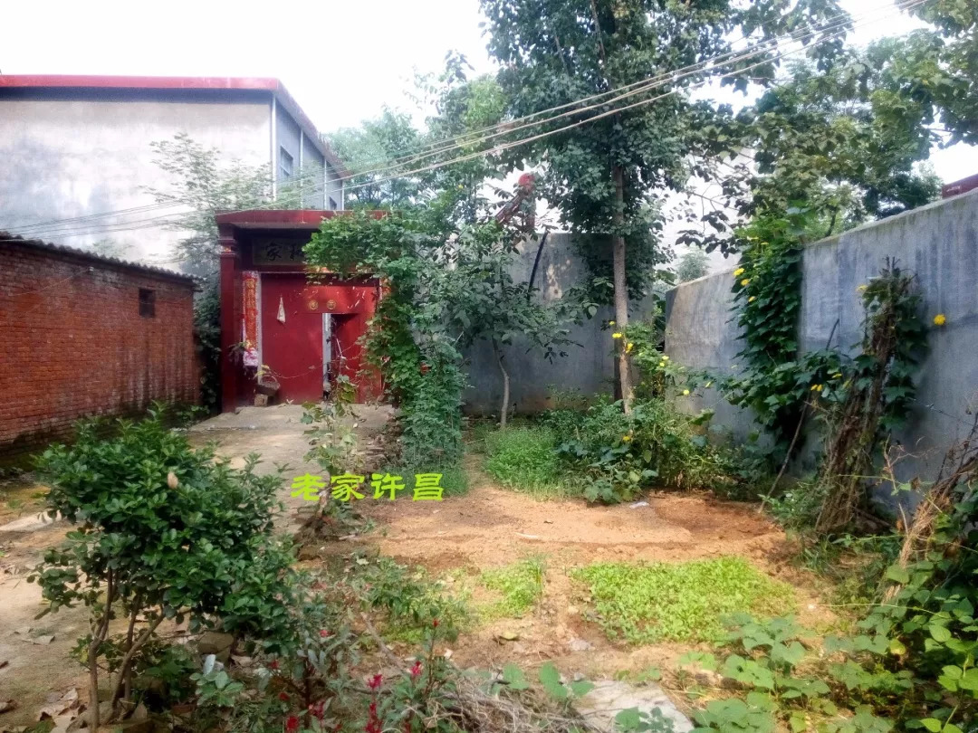 唐太宗李世民为何亲自为襄城县此村赐名？