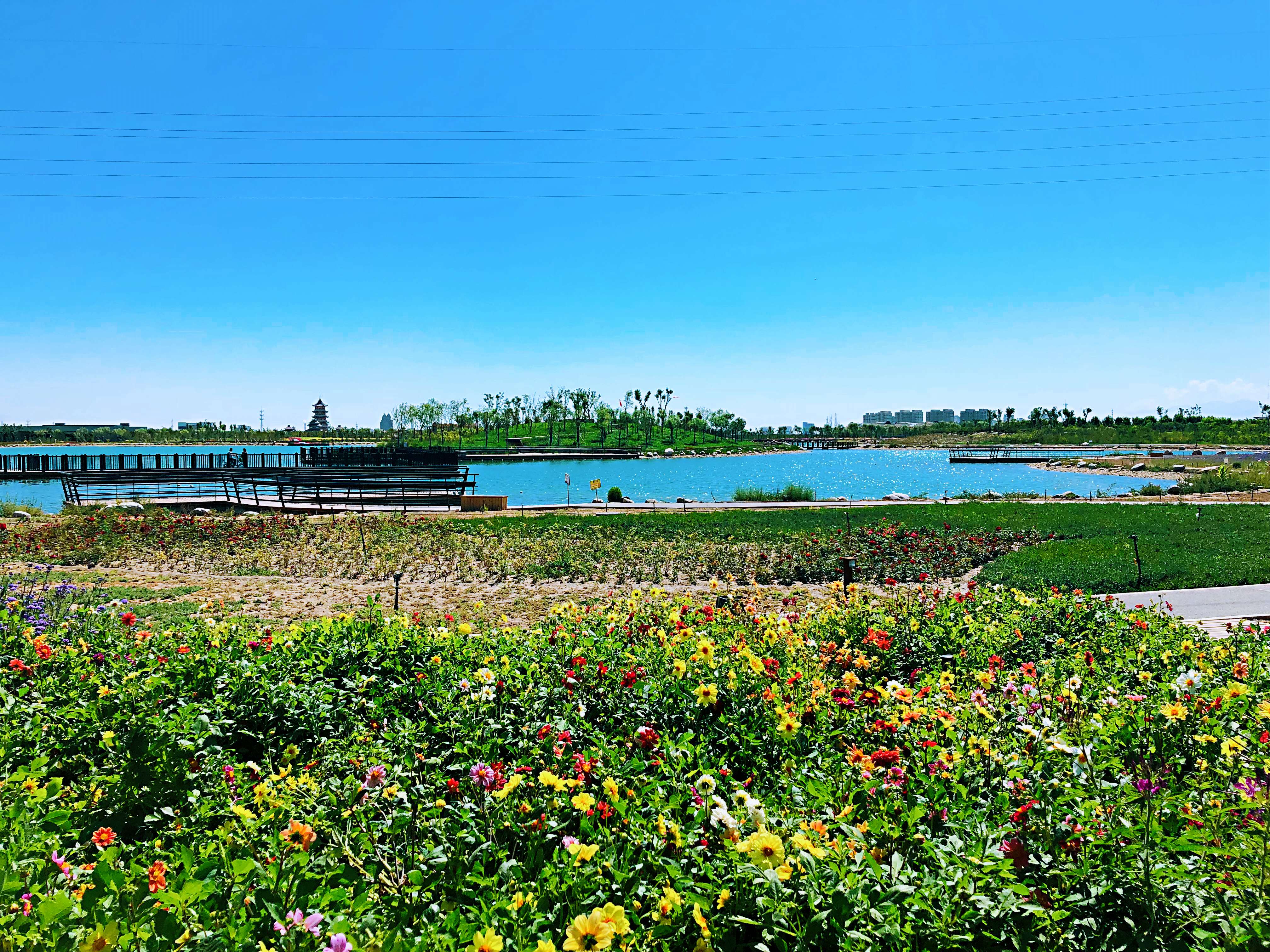 似水流年浅笑安然,似水流年静候花开