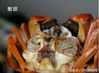 怎样选择海鲜的正确方法,海鲜如何清洗比较干净又好吃