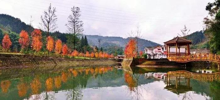 乐山是世界文化旅游名城,乐山最为代表的景点有哪些