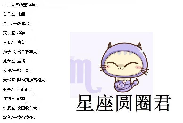 十二星座的最佳职业狮子座,十二星座适合的职业水瓶