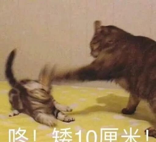 便宜又好用的乳液推荐一下,攒钱也要买一瓶全能乳液