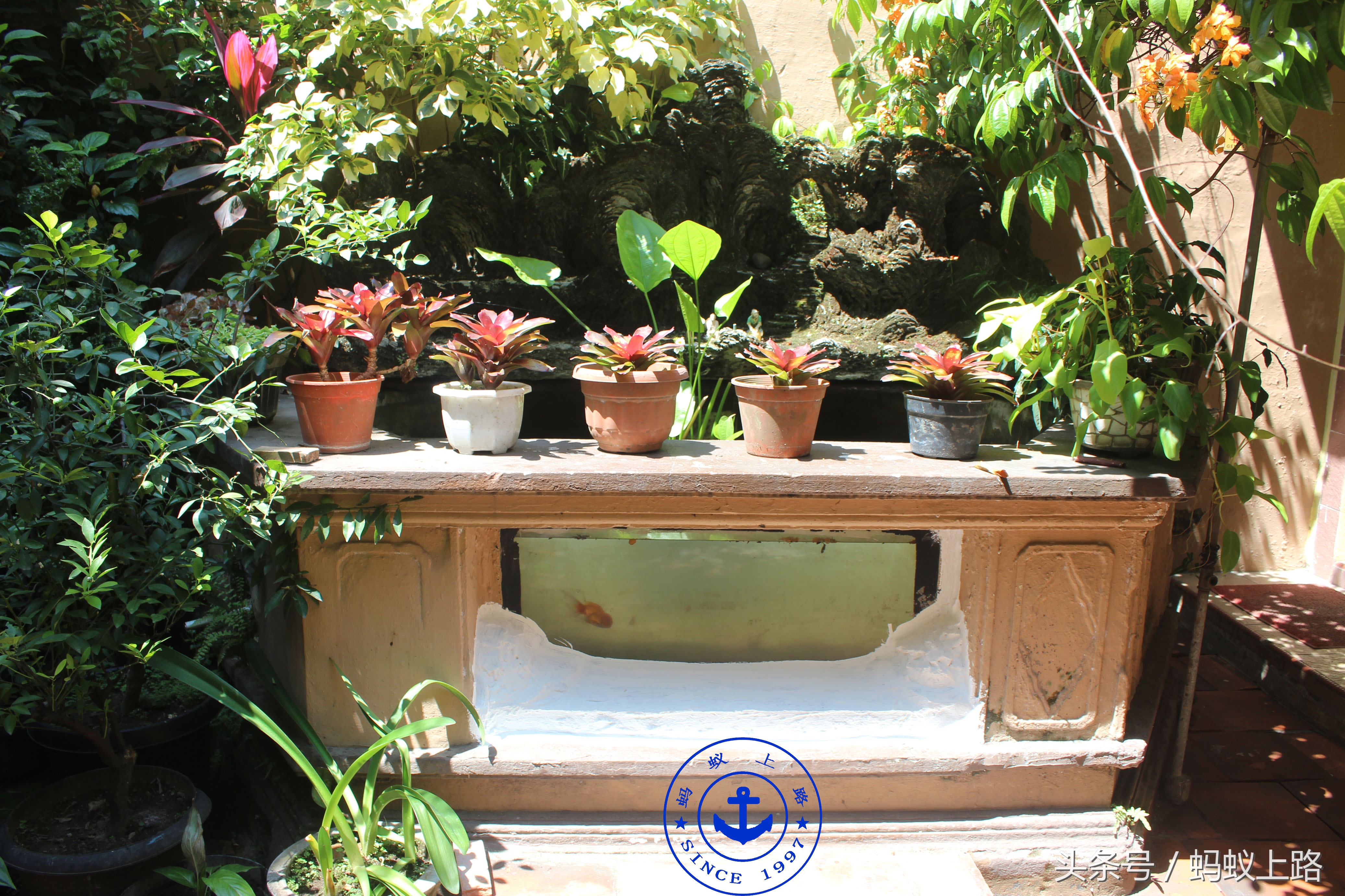 印尼棉兰王——张耀轩故居,TjongAFieMansion