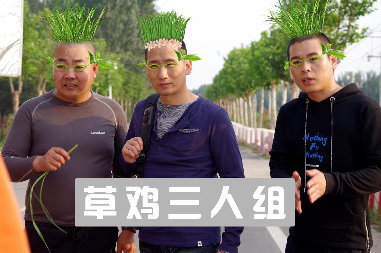 土特产草鸡,草鸡三黄鸡土鸡