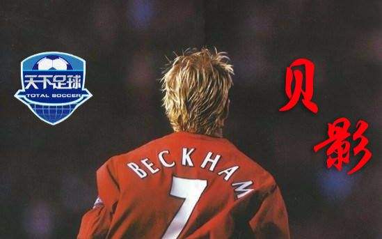 世界冠军明星,世界冠军齐聚