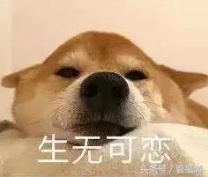 在什么情况下微信会被封,微信经常会被封要注意什么