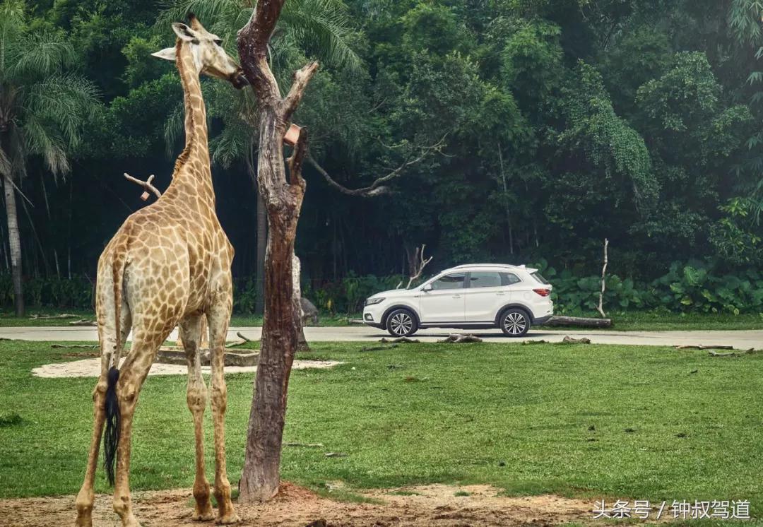 叔情｜在动物的乐园里，我们更理解了环保的意义！