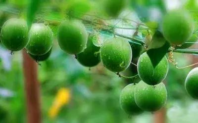 广西工业转型升级,广西投入57.97亿元促产业富民