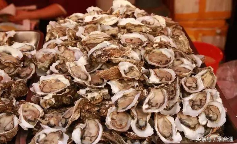 烟台开海现场直播视频,开海现场视频直播