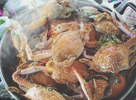 螃蟹怎样蒸蟹黄不漏出来,螃蟹要怎么蒸好吃