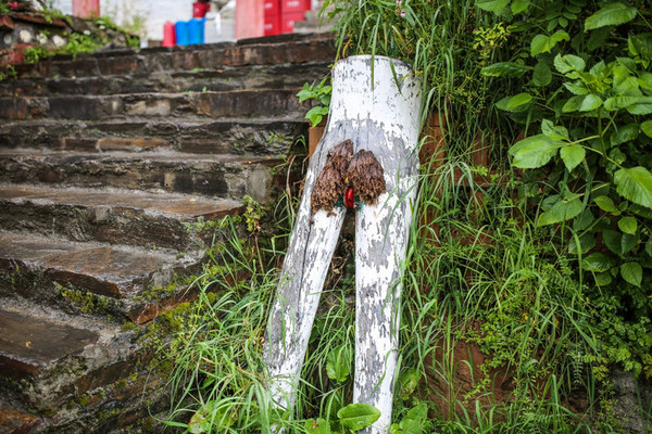 九月份的江南风景,四月的江南风景
