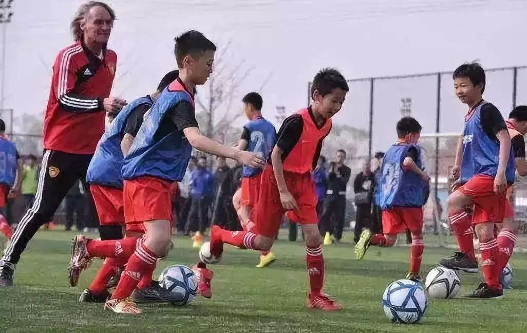 「维维足球杂谈」“姚明模式”已印证——足球也应该“专业人做专业事”