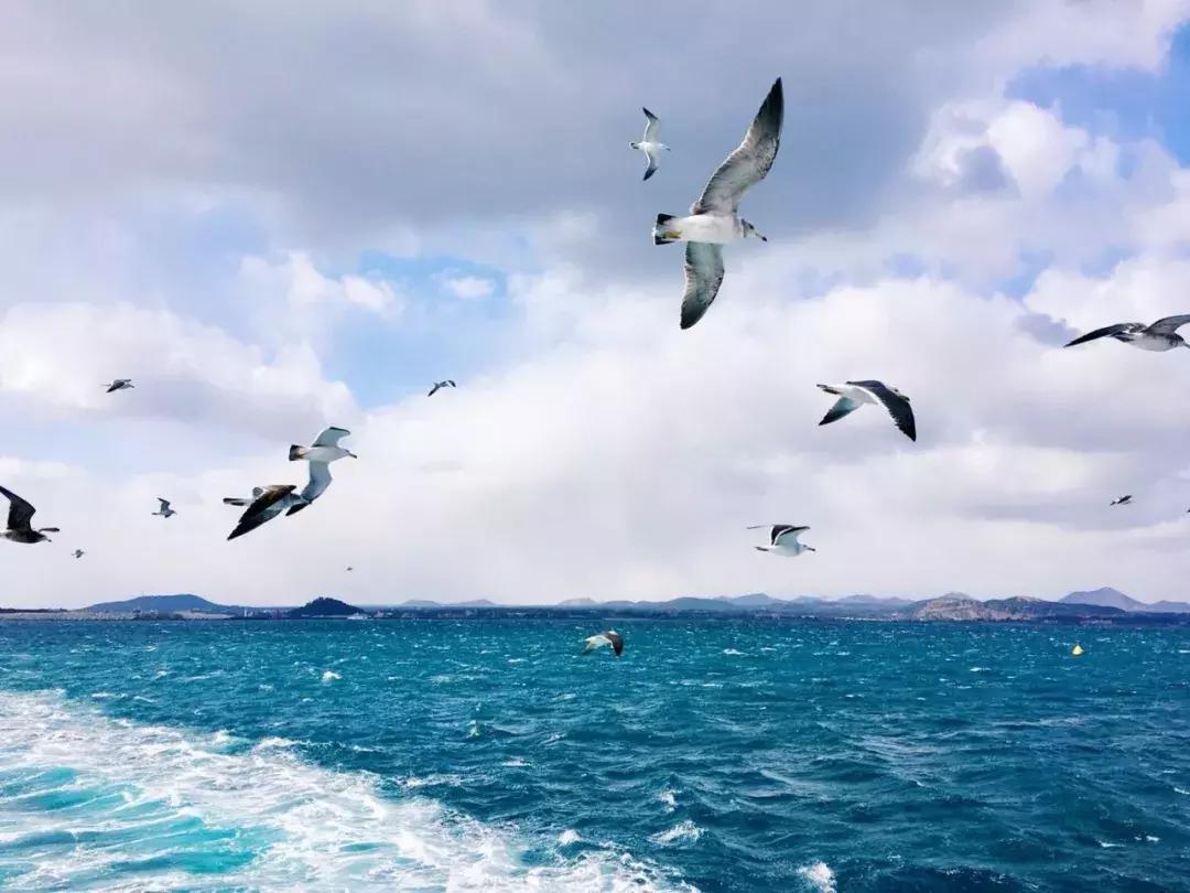 摄影色彩的处理的基本规则,摄影光线和颜色