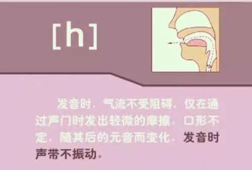 英语音标48个发音有趣教学视频,英语音标48个发音快速记忆