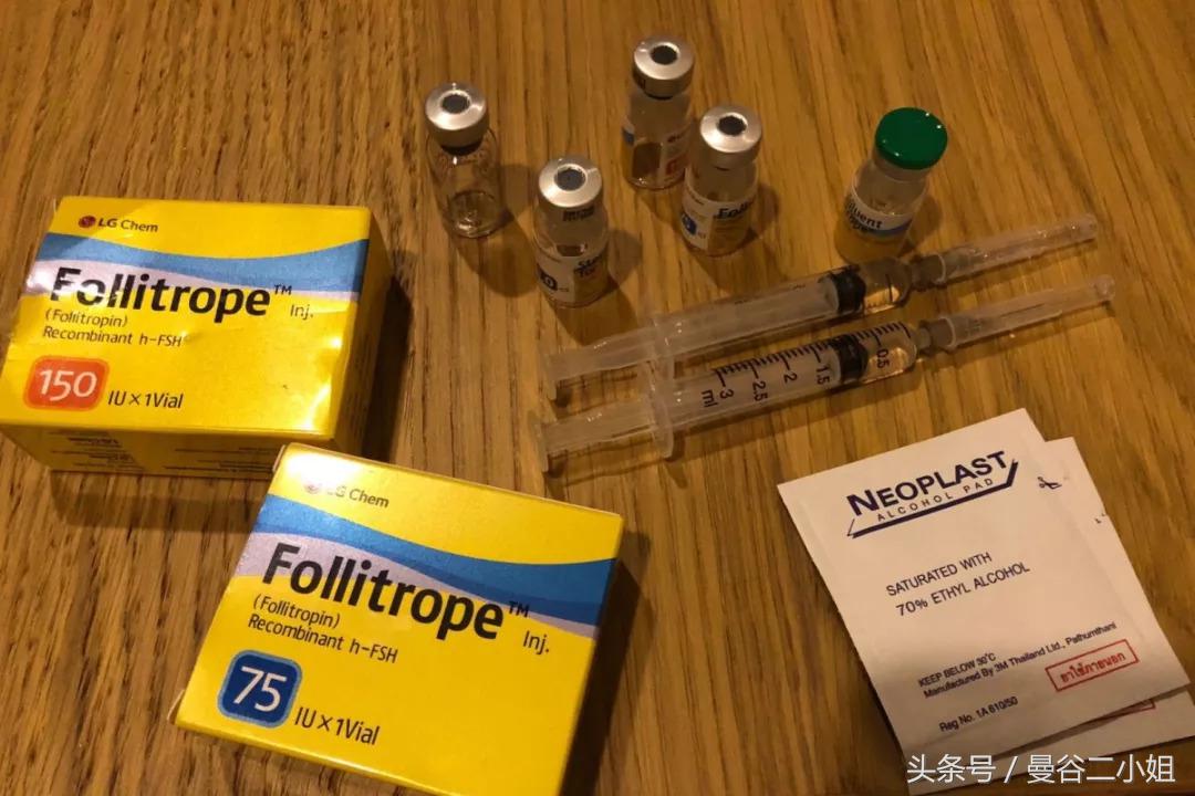 泰国冷冻卵子,泰国冻卵子