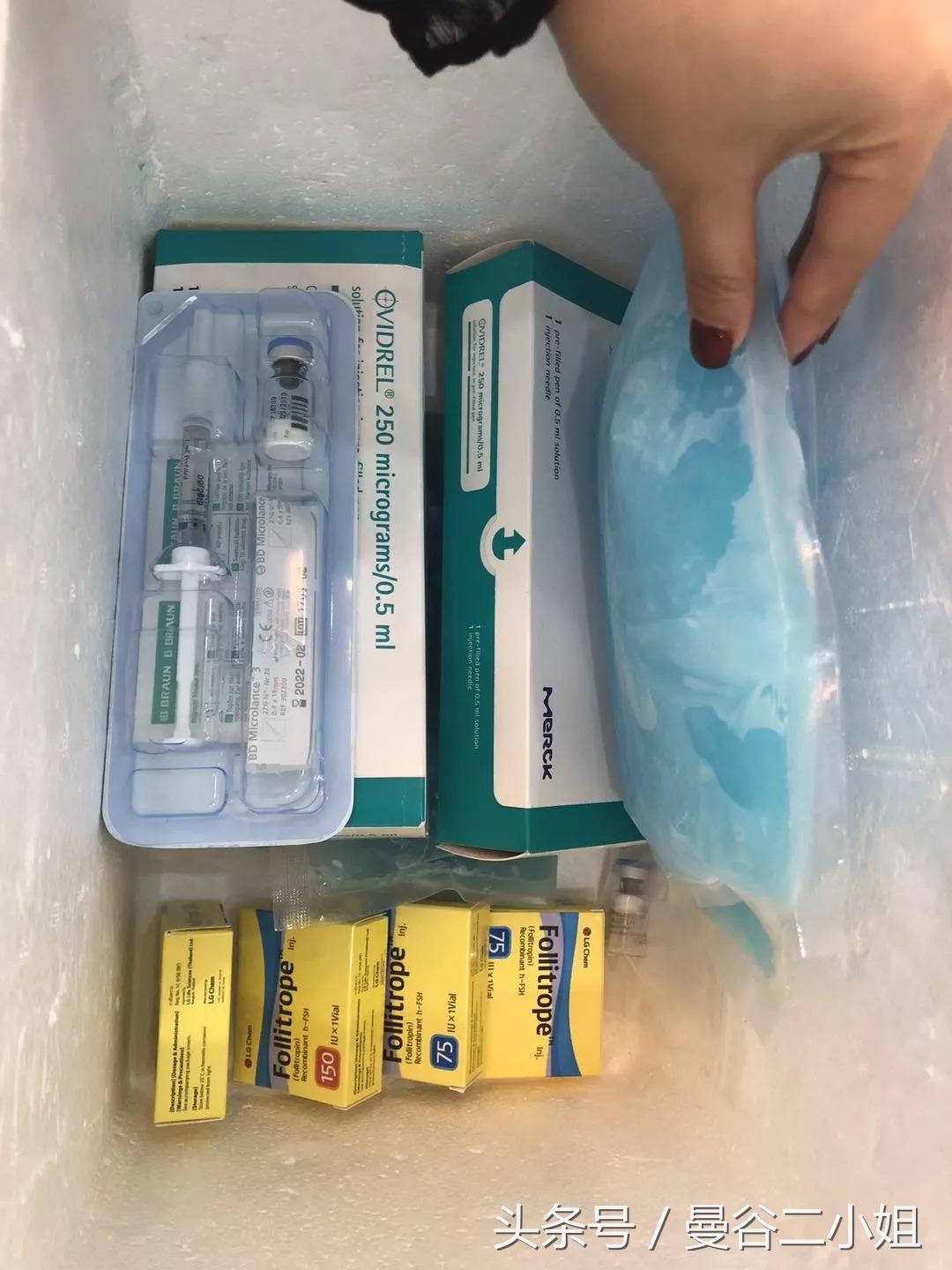 泰国冷冻卵子,泰国冻卵子