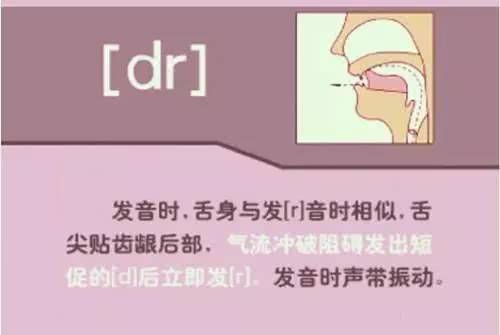 英语48个音标发音详细教程,英语48个音标的正确发音和技巧