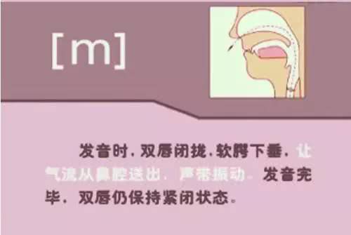 英语音标48个发音有趣教学视频,英语音标48个发音快速记忆