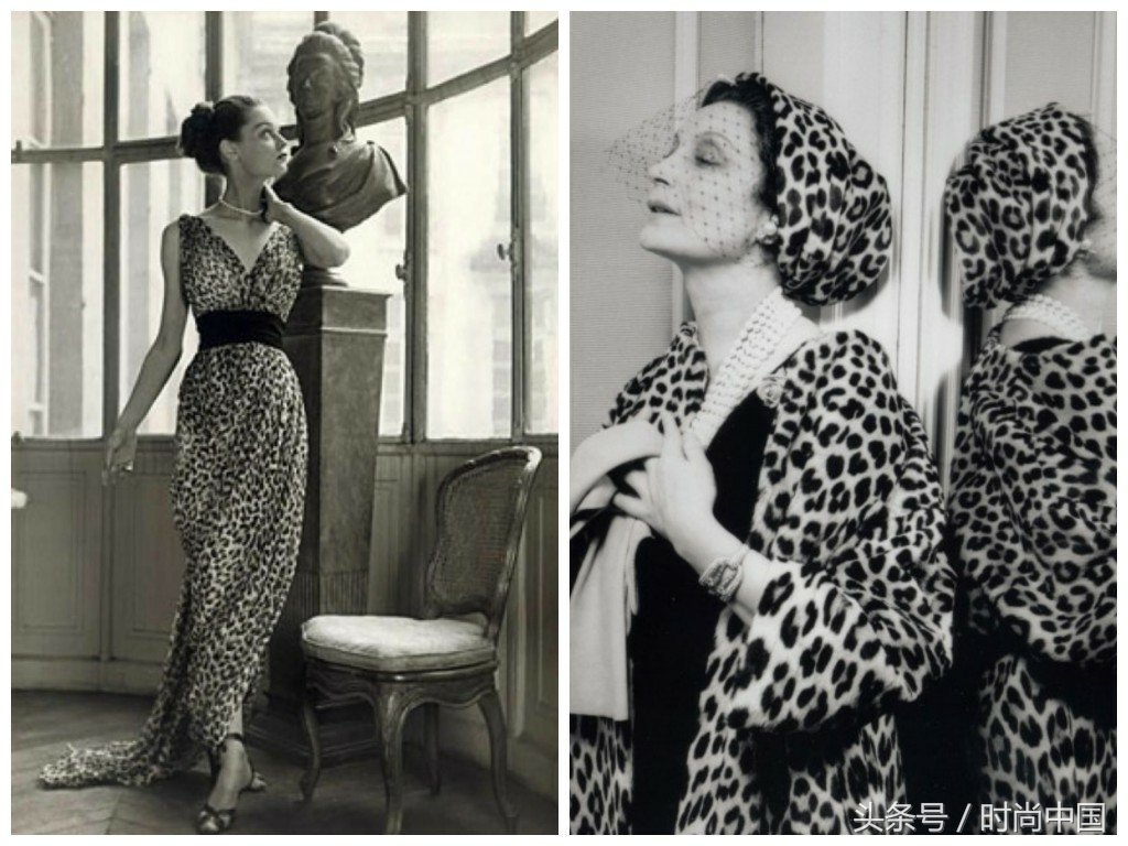 豹纹的时尚卖点,豹纹高级感穿搭技巧