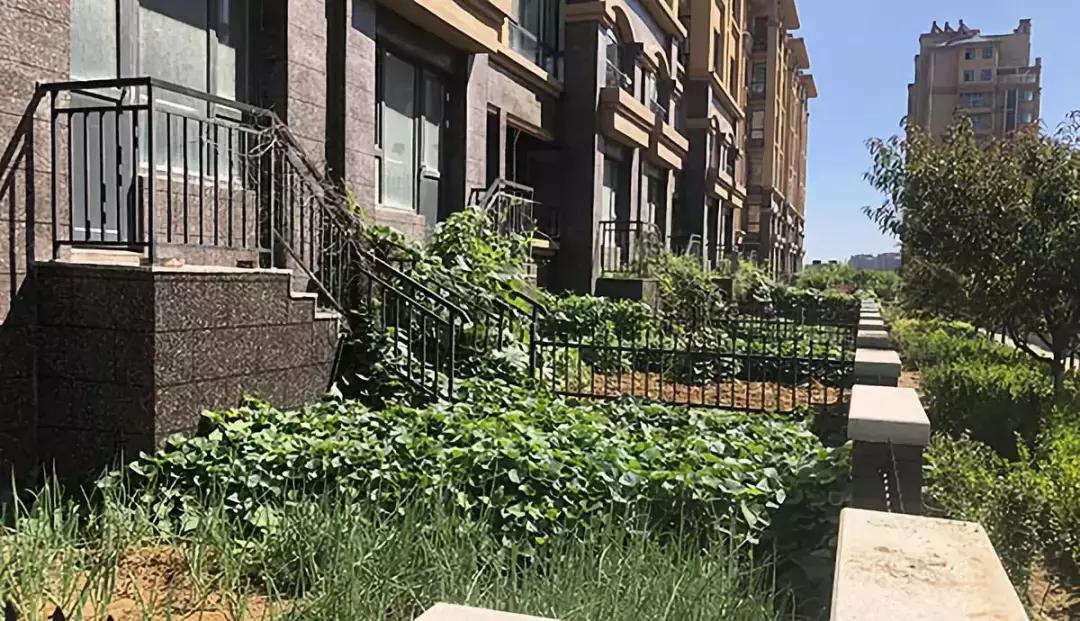 东骏阅山最好的楼盘,东骏阅山最新消息