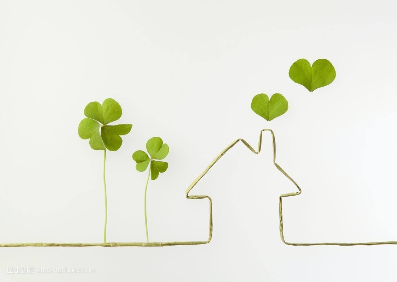 大班美术活动隐身动物说课稿,幼儿园教资面试大公鸡穿花衣教案