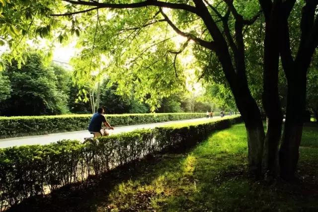 深圳夜间骑行十大最佳路线,深圳最舒服的骑行路线