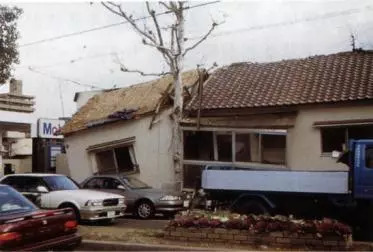 「交通看点」建设“完整林荫道”——步行和自行车交通环境设计建设图集亮点介绍（一）