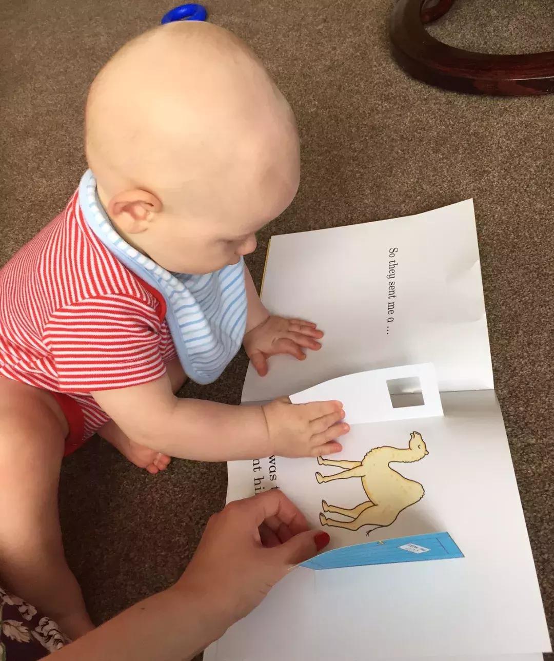 1岁宝宝怎样培养读绘本,1岁宝宝绘本启蒙怎么做