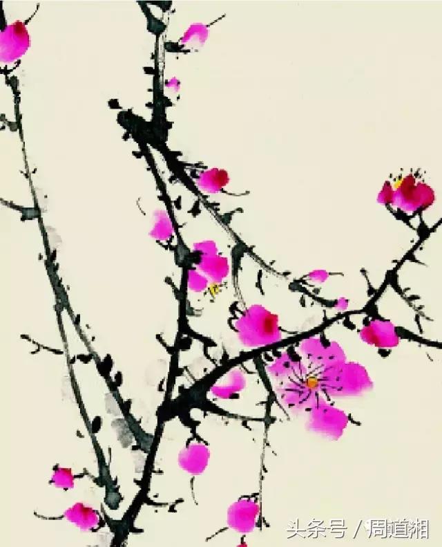 梅花花朵的国画画法视频,大写意梅花枝干国画画法