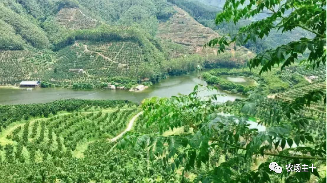 90后新农人用科技轻松种田,抖音直播网红黑科技