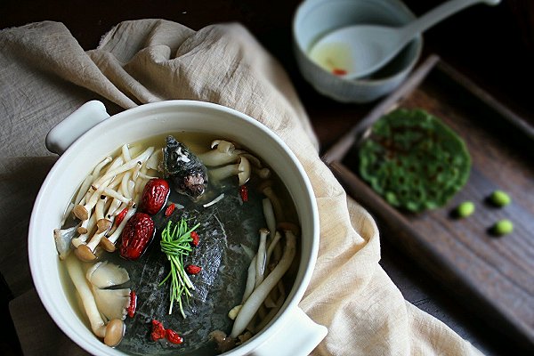 冬天甲鱼怎么样放才不死,这个季节甲鱼适合怎么吃