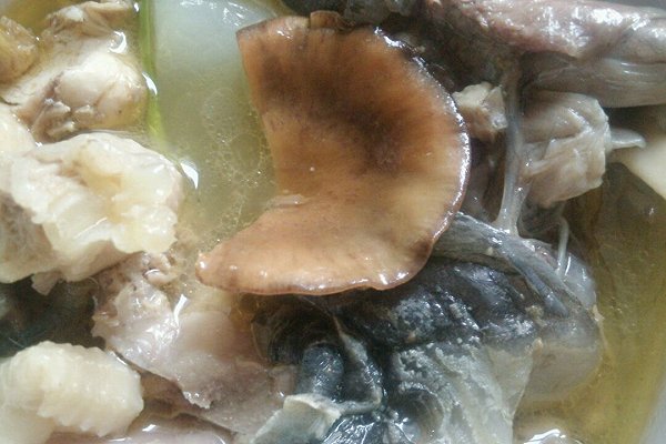 甲鱼最常见的几种做法,冬季甲鱼跟什么做才好