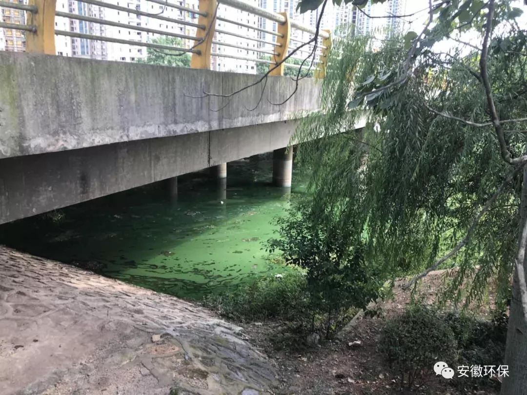 铜陵环保督察组,环保督察组对淮南市的督察结果