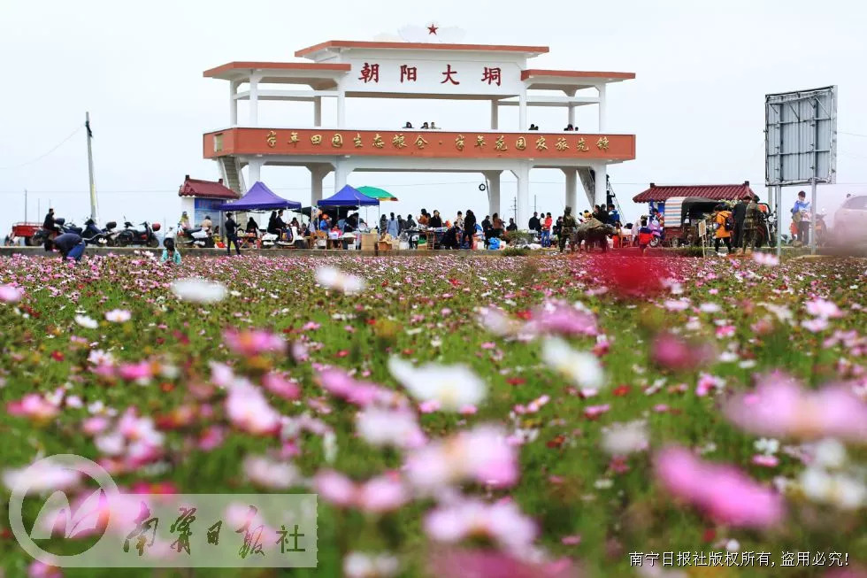 早，开始悦读吧/2018-09-06（周四）