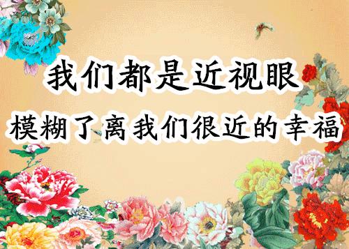 会动的照片大全,会动的11张图片