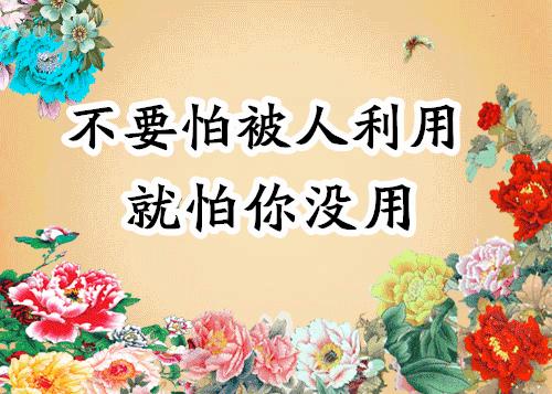 会动的照片大全,会动的11张图片